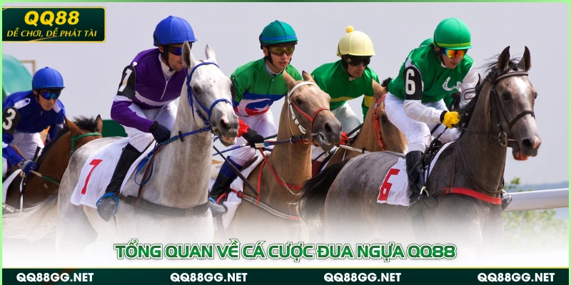 Tổng quan về cá cược đua ngựa QQ88